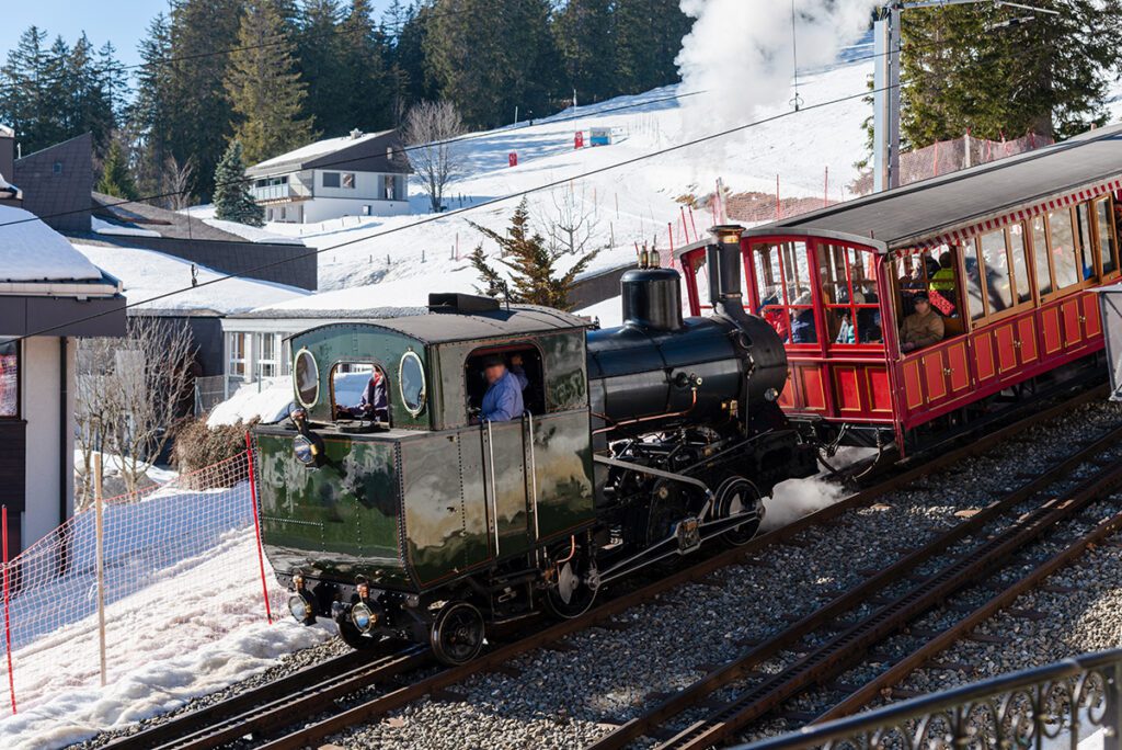 Mount rigi Cogwheel