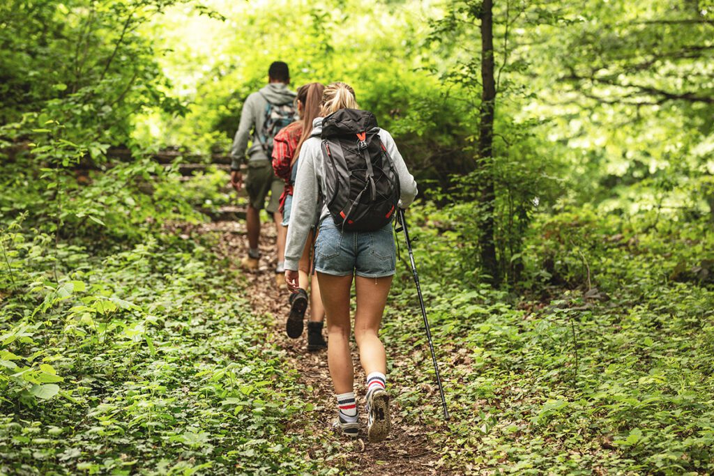 Üetliberg Hiking