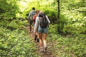 Üetliberg Hiking